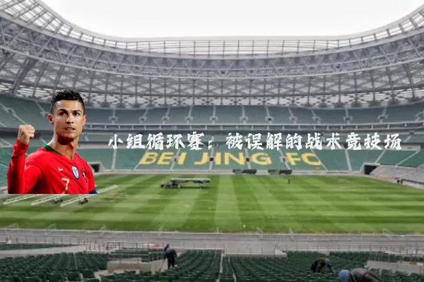 小组循环赛:被误解的战术竞技场